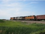 BNSF 4905